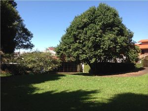 Image 10 - 135238