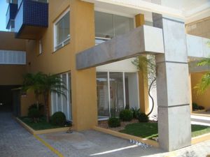 Image 8 - 13562