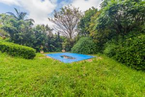 Image 62 - 135944