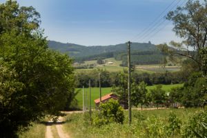 Image 14 - 135945