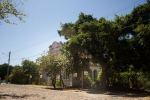 Image 8 - 135945