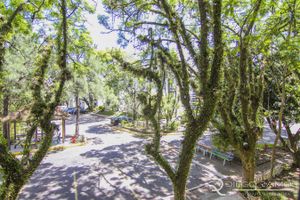 Image 4 - 137159