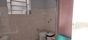 Image 13 - 137346