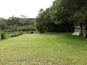 Image 14 - 137888