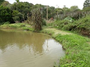 Image 15 - 137888