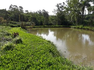 Image 16 - 137888