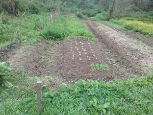 Image 19 - 137888