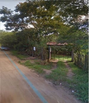Image 22 - 137888