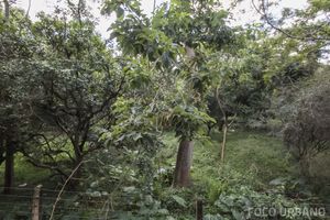 Image 7 - 138038