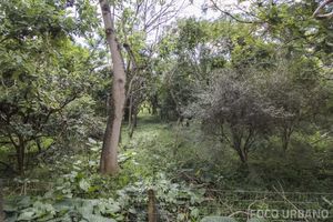 Image 14 - 138038