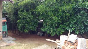 Image 1 - 138981