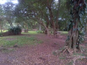 Image 33 - 139503