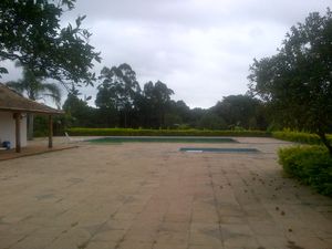 Image 9 - 139503