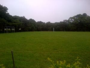Image 2 - 139503
