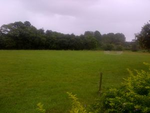 Image 4 - 139503