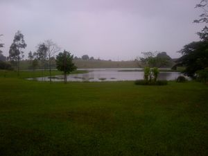 Image 0 - 139503