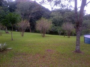 Image 37 - 139503
