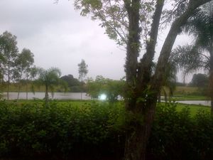Image 14 - 139503