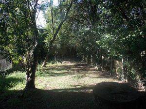 Image 19 - 141301
