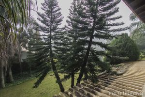 Image 47 - 142592