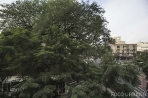 Image 14 - 142751