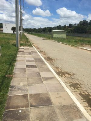 Image 6 - 142961