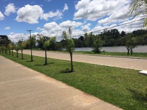 Image 8 - 142961