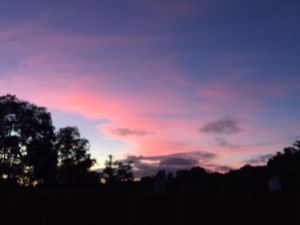 Image 19 - 143437