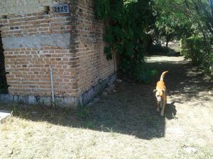 Image 4 - 143806