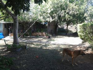 Image 5 - 143806