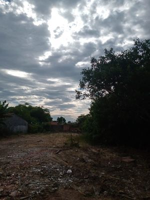 Image 5 - 145336