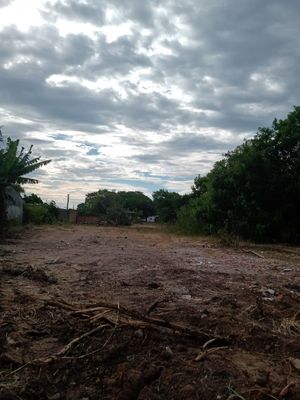 Image 6 - 145336