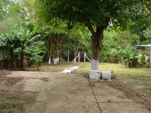 Image 45 - 145397
