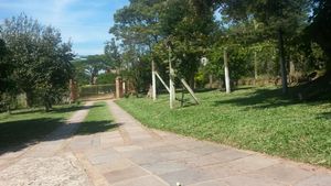 Image 24 - 145494
