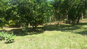 Image 30 - 145494