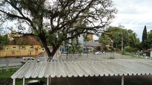 Image 52 - 145918