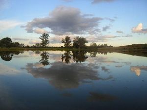 Image 7 - 146440