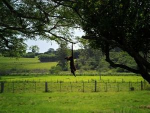Image 8 - 146440