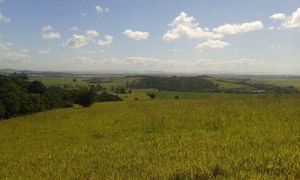 Image 5 - 146440