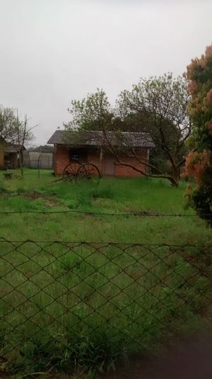 Image 13 - 146791