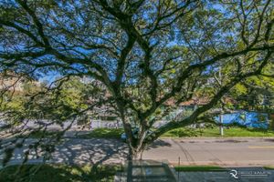 Image 12 - 147128