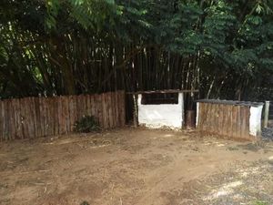 Image 11 - 147142