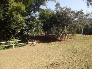 Image 5 - 147142