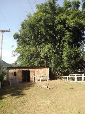 Image 4 - 147142