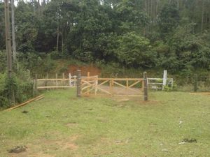 Image 3 - 147142