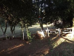 Image 2 - 147142