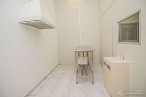 Image 86 - 147667