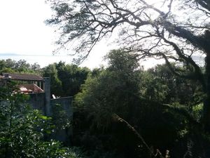 Image 8 - 148570