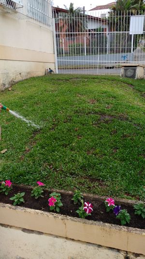 Image 7 - 148575