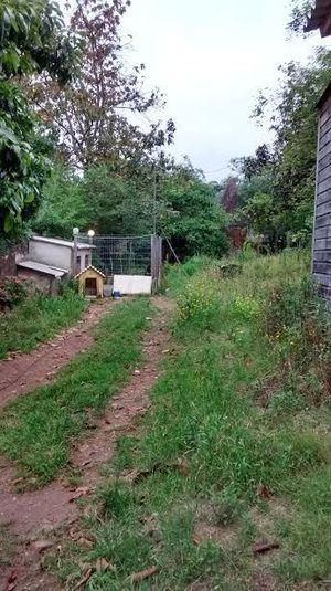 Image 17 - 149396